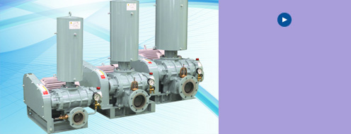 Click here for enlarged view of registration certificate